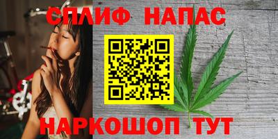 бошки Будённовск