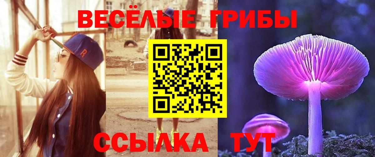 Псилоцибиновые грибы Cubensis  Галлюциногенные грибы мицелий  Вход с VPN  Красноярск 