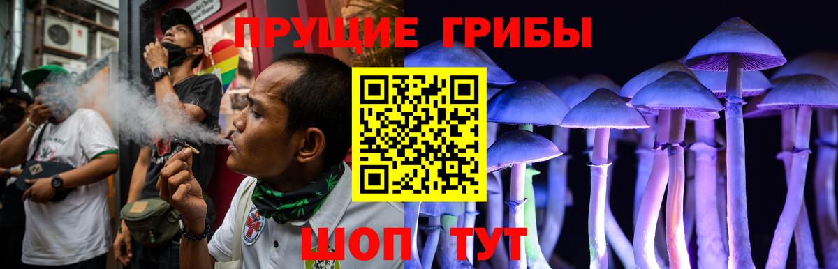 Псилоцибиновые грибы мицелий Красноярск